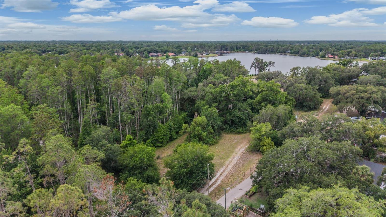 215 LAKE BRANT DR, LUTZ, FL, 33548