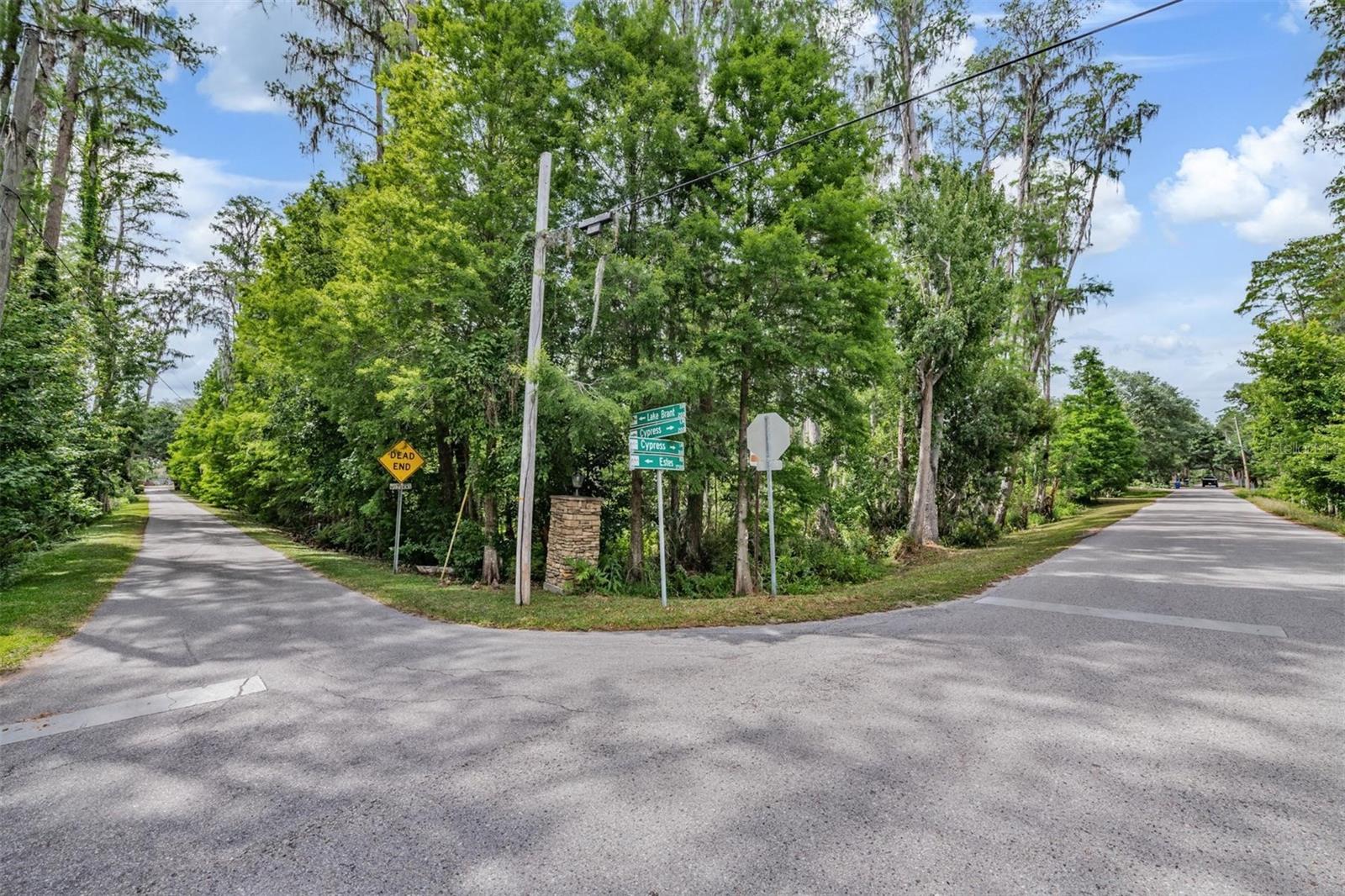 215 LAKE BRANT DR, LUTZ, FL, 33548