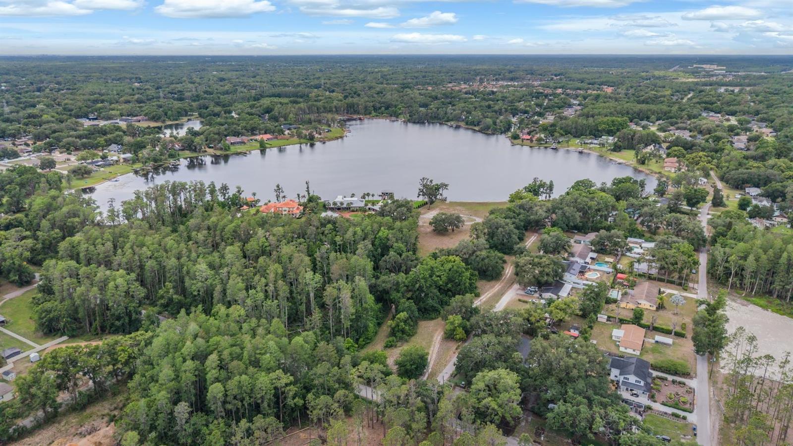 215 LAKE BRANT DR, LUTZ, FL, 33548