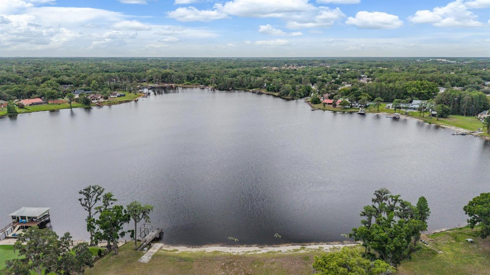 215 LAKE BRANT DR, LUTZ, FL, 33548