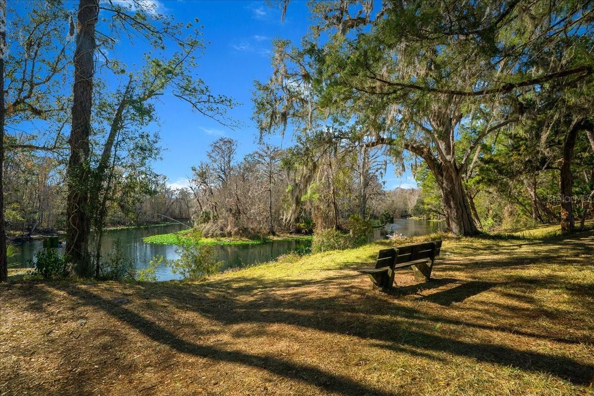 3255 NE 104TH AVE, SILVER SPRINGS, FL, 34488