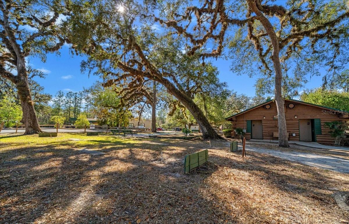 3255 NE 104TH AVE, SILVER SPRINGS, FL, 34488