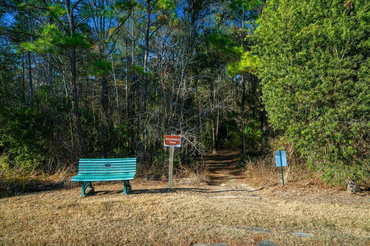 3255 NE 104TH AVE, SILVER SPRINGS, FL, 34488
