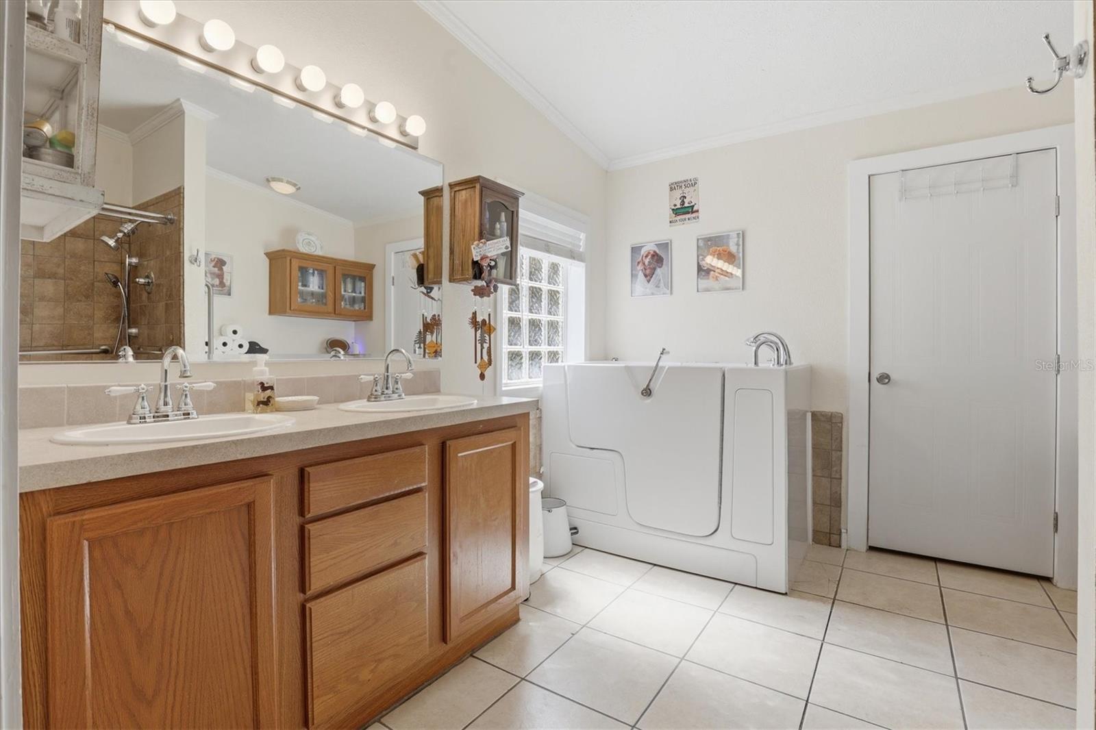 33906 CODDLE CT, WESLEY CHAPEL, FL, 33543