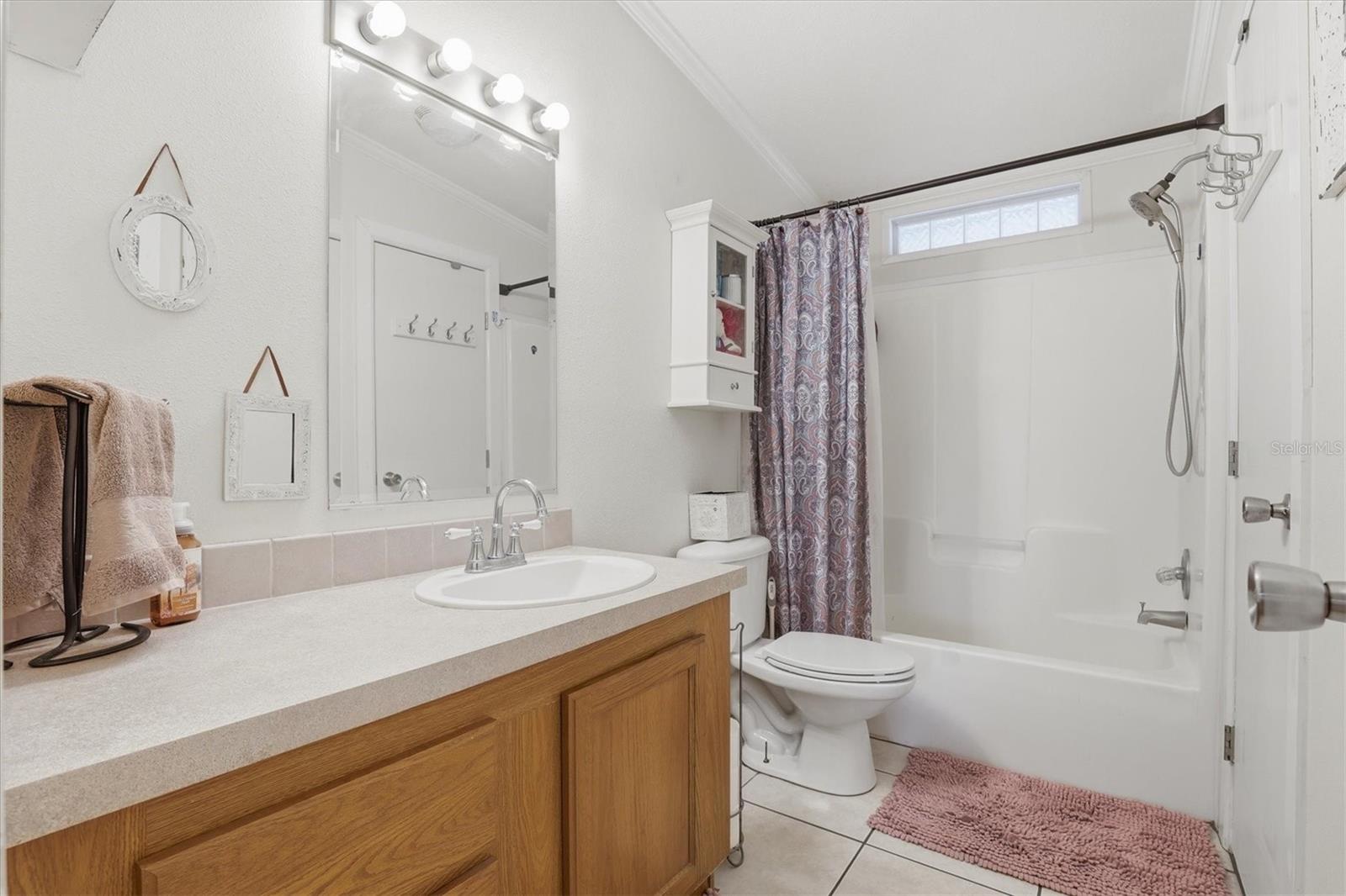 33906 CODDLE CT, WESLEY CHAPEL, FL, 33543