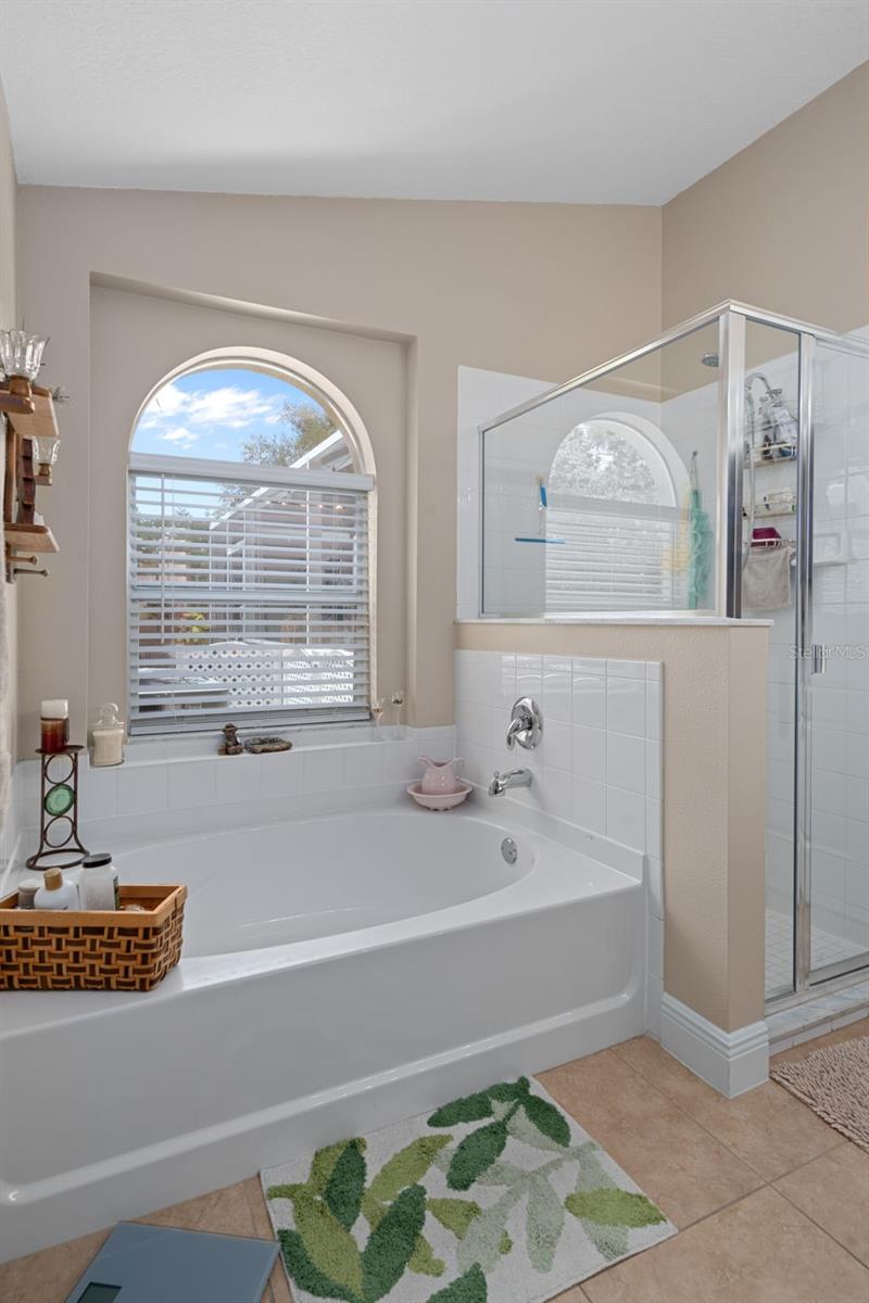 4107 MARCHMONT BLVD, LAND O LAKES, FL, 34638