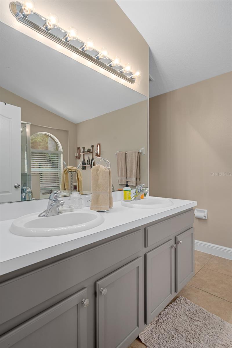 4107 MARCHMONT BLVD, LAND O LAKES, FL, 34638