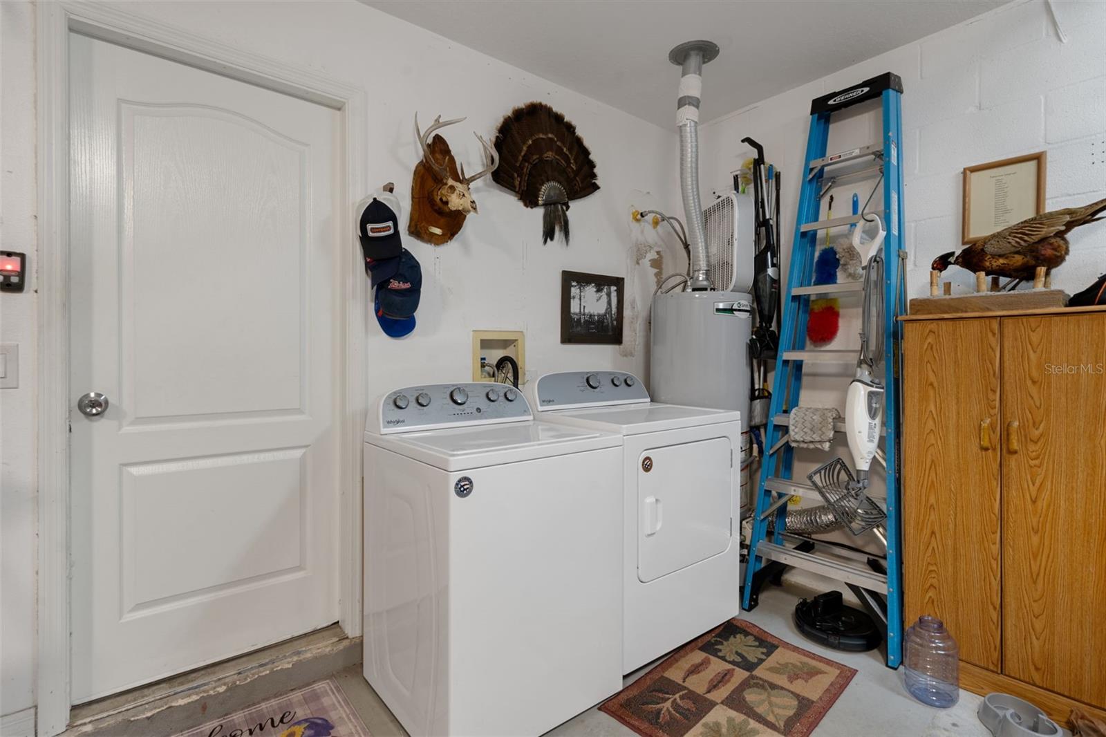 4107 MARCHMONT BLVD, LAND O LAKES, FL, 34638