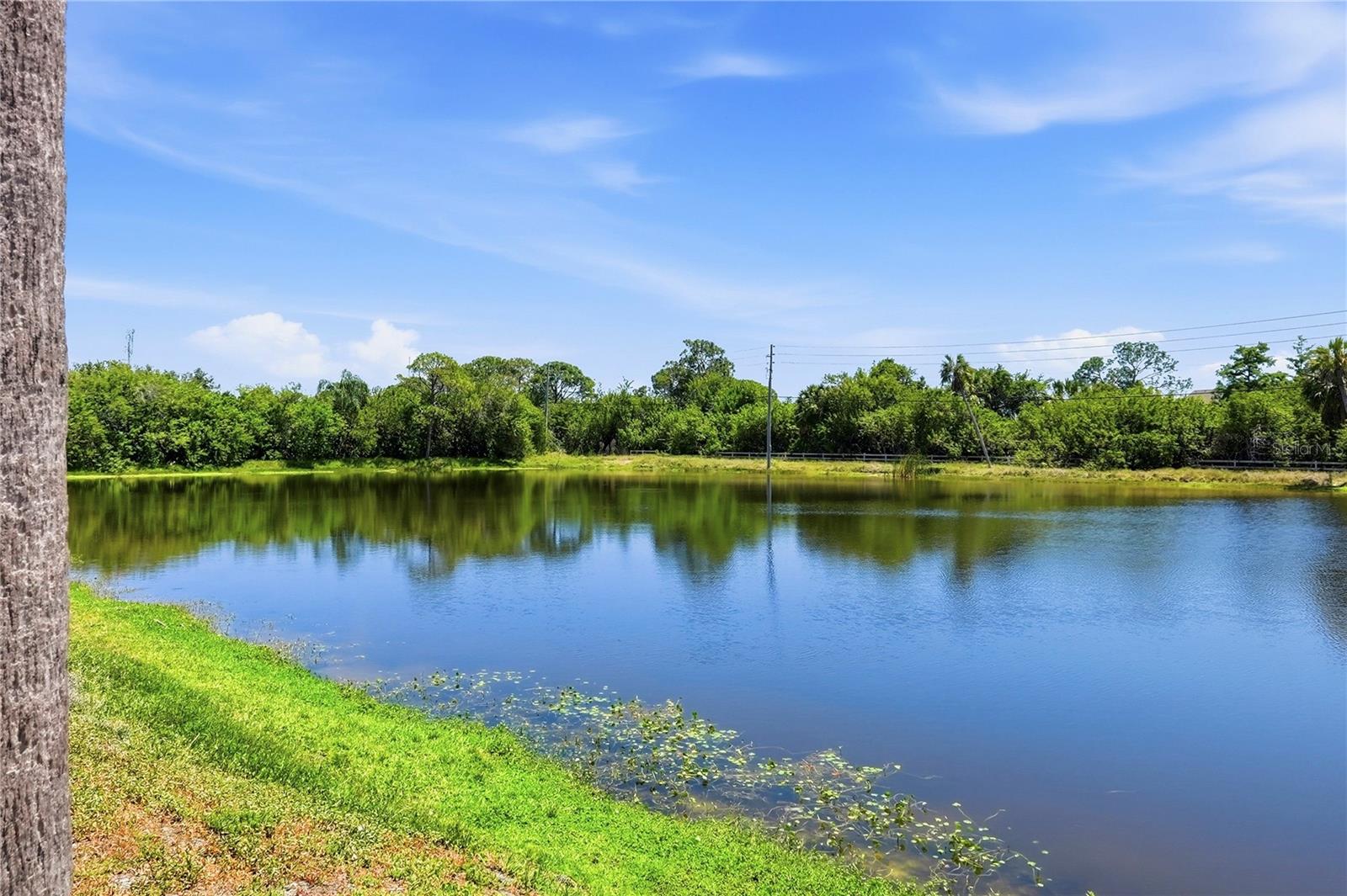 724 115 AVE N #2205, ST PETERSBURG, FL, 33716