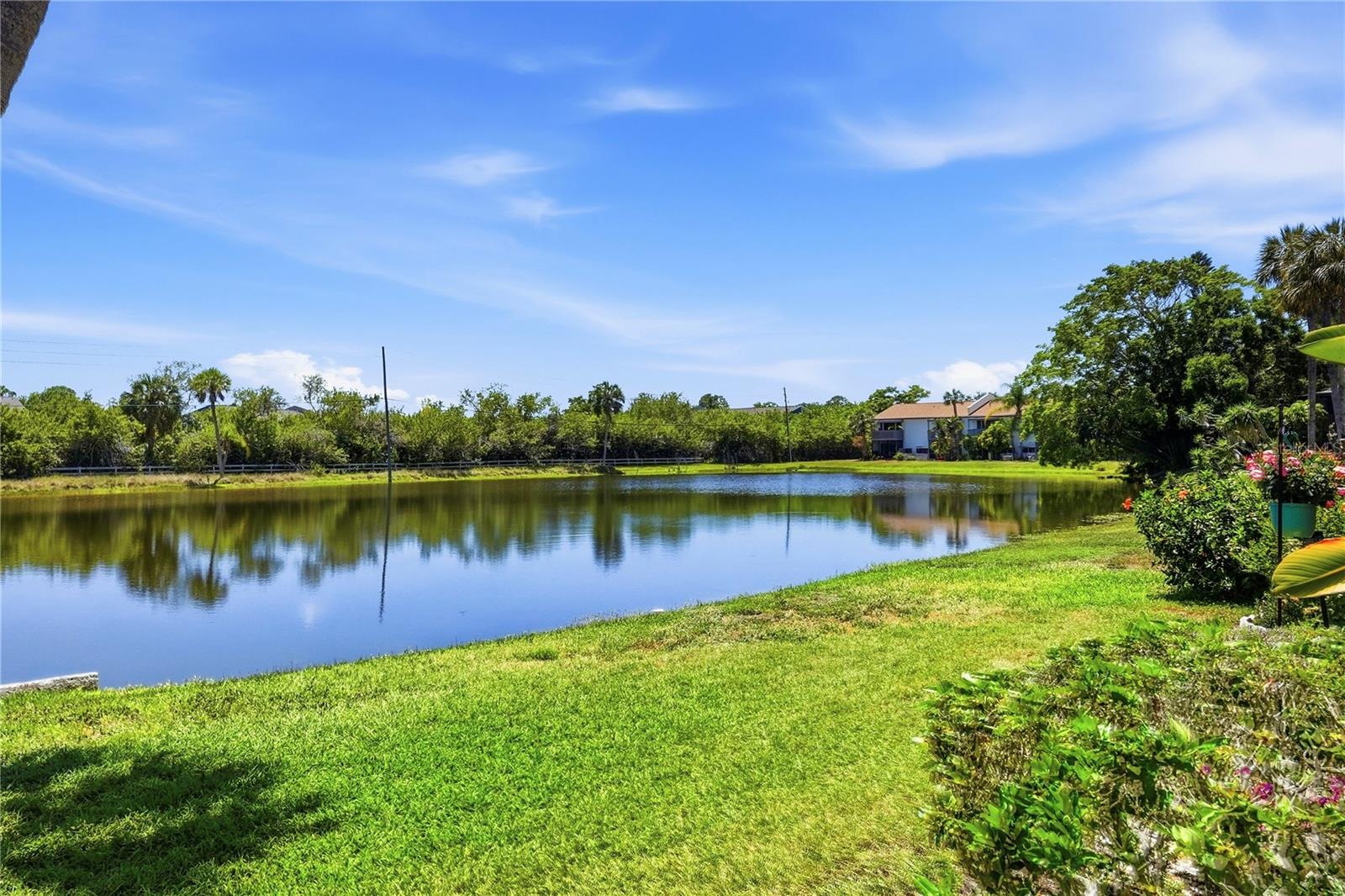 724 115 AVE N #2205, ST PETERSBURG, FL, 33716