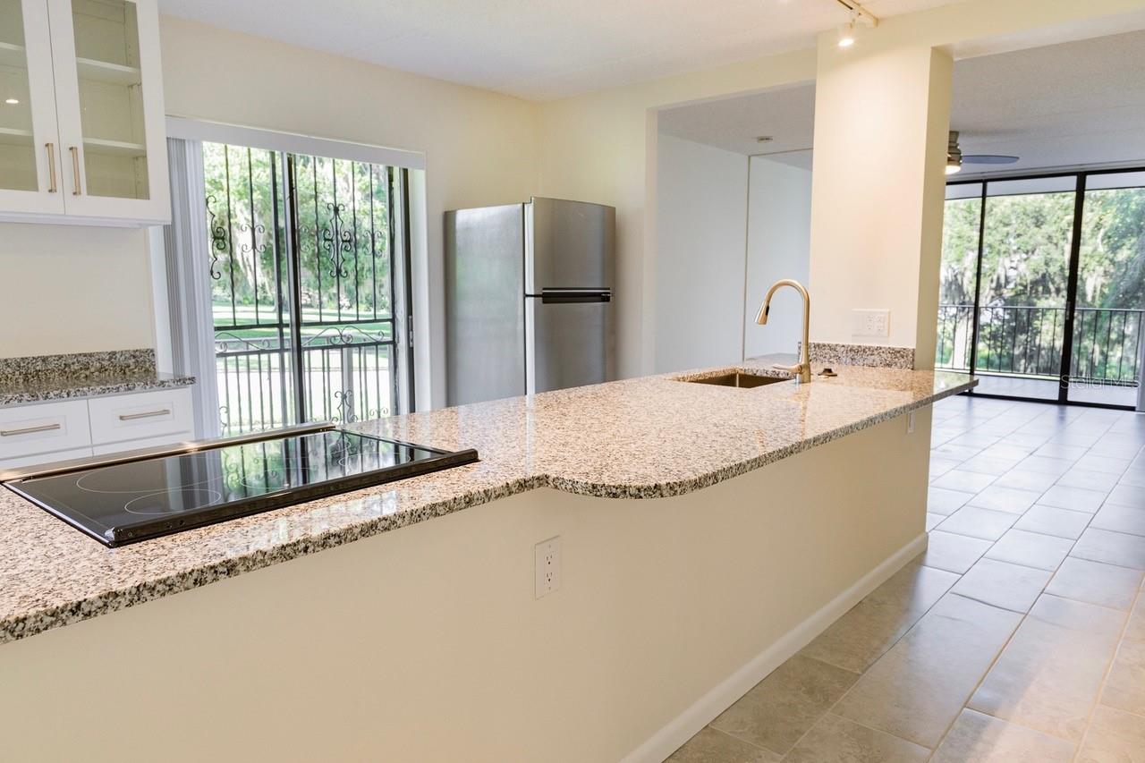 208 LAKE HOWARD DR NW #104, WINTER HAVEN, FL, 33880