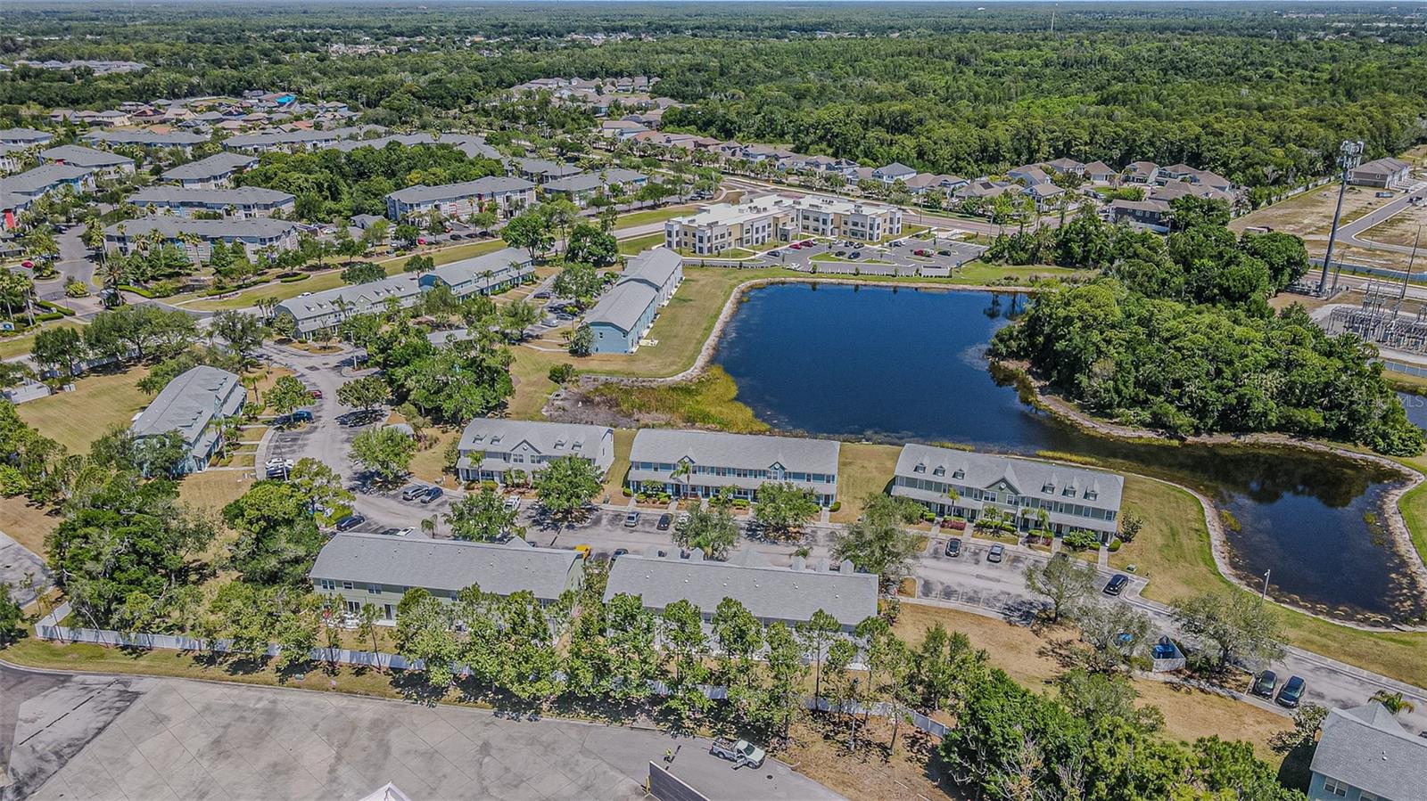 11676 DECLARATION DR, TAMPA, FL, 33635