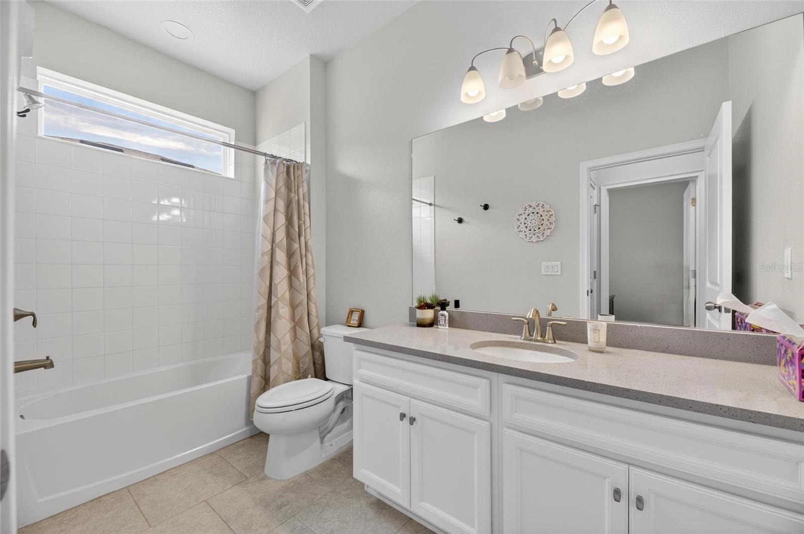 11633 CAMBIUM CROWN DR, RIVERVIEW, FL, 33569