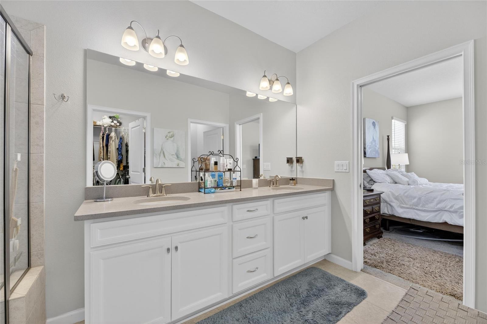11633 CAMBIUM CROWN DR, RIVERVIEW, FL, 33569
