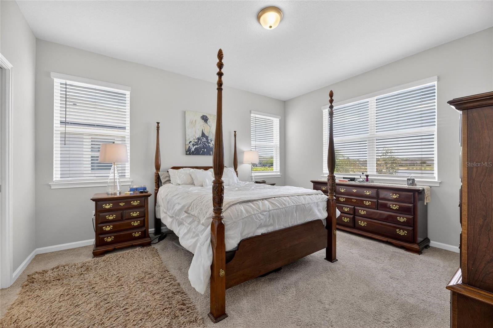 11633 CAMBIUM CROWN DR, RIVERVIEW, FL, 33569