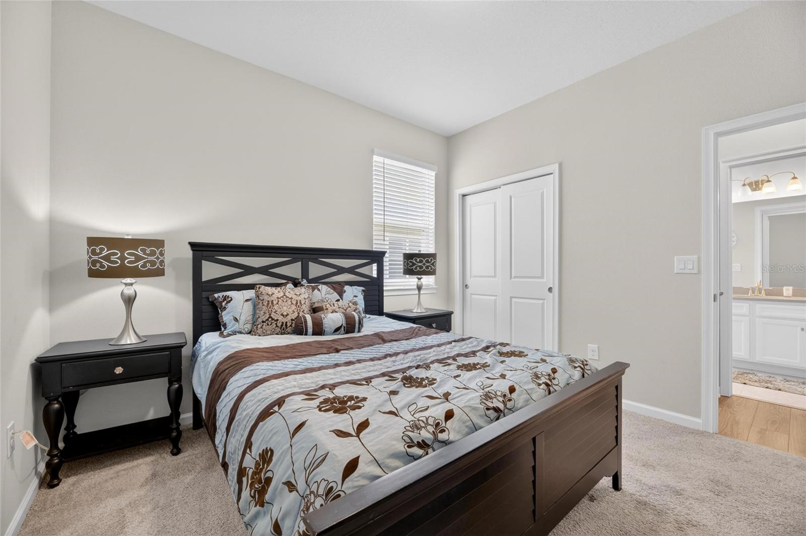 11633 CAMBIUM CROWN DR, RIVERVIEW, FL, 33569