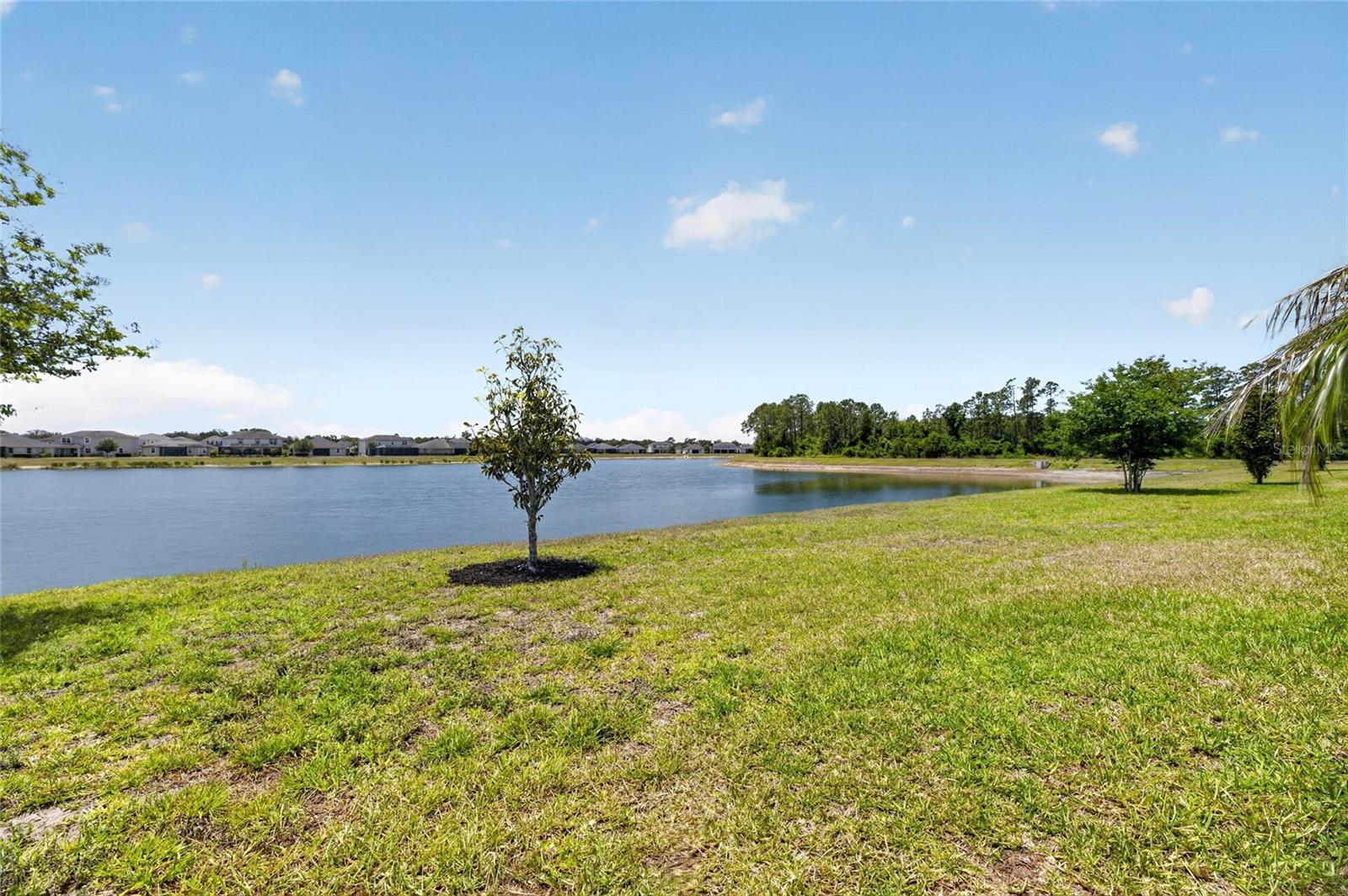 11633 CAMBIUM CROWN DR, RIVERVIEW, FL, 33569