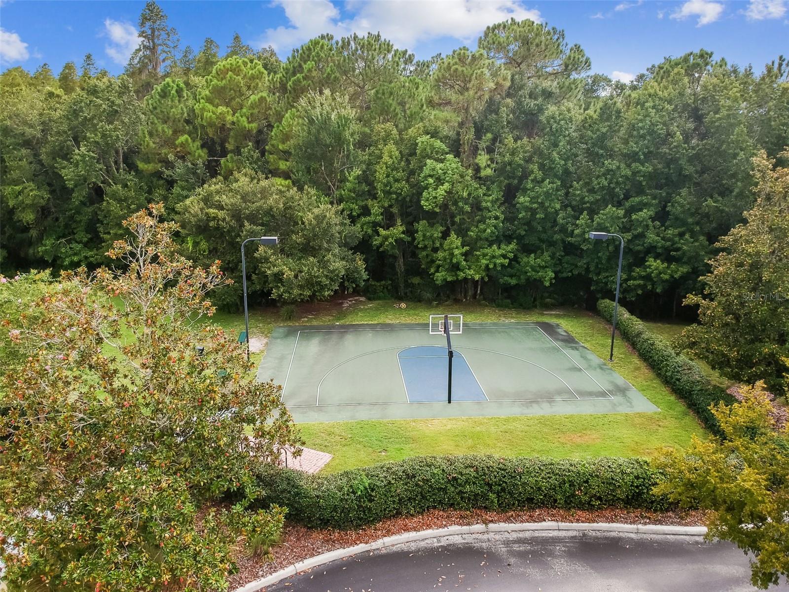 20133 HERON CROSSING DR, TAMPA, FL, 33647