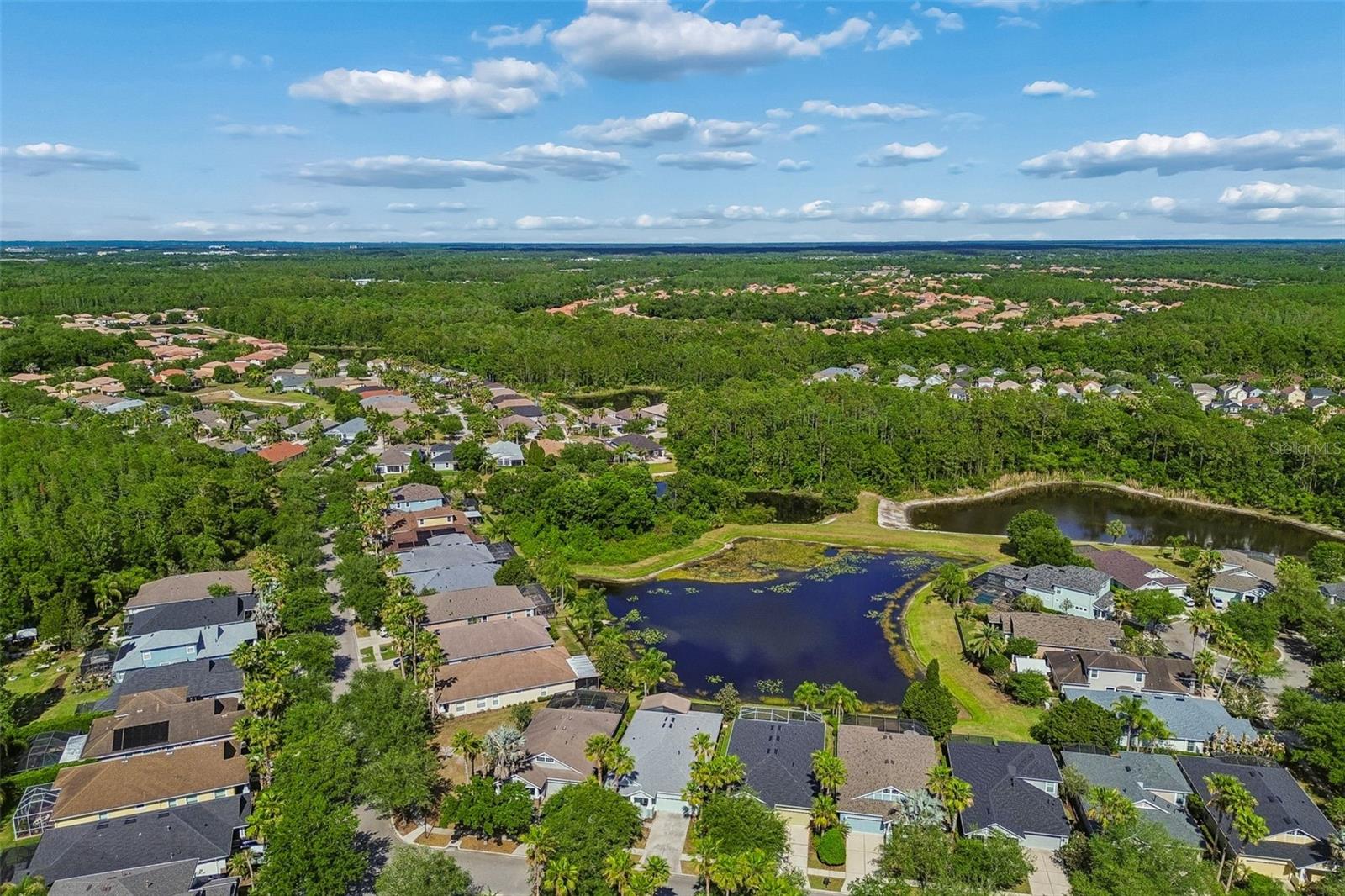 20133 HERON CROSSING DR, TAMPA, FL, 33647