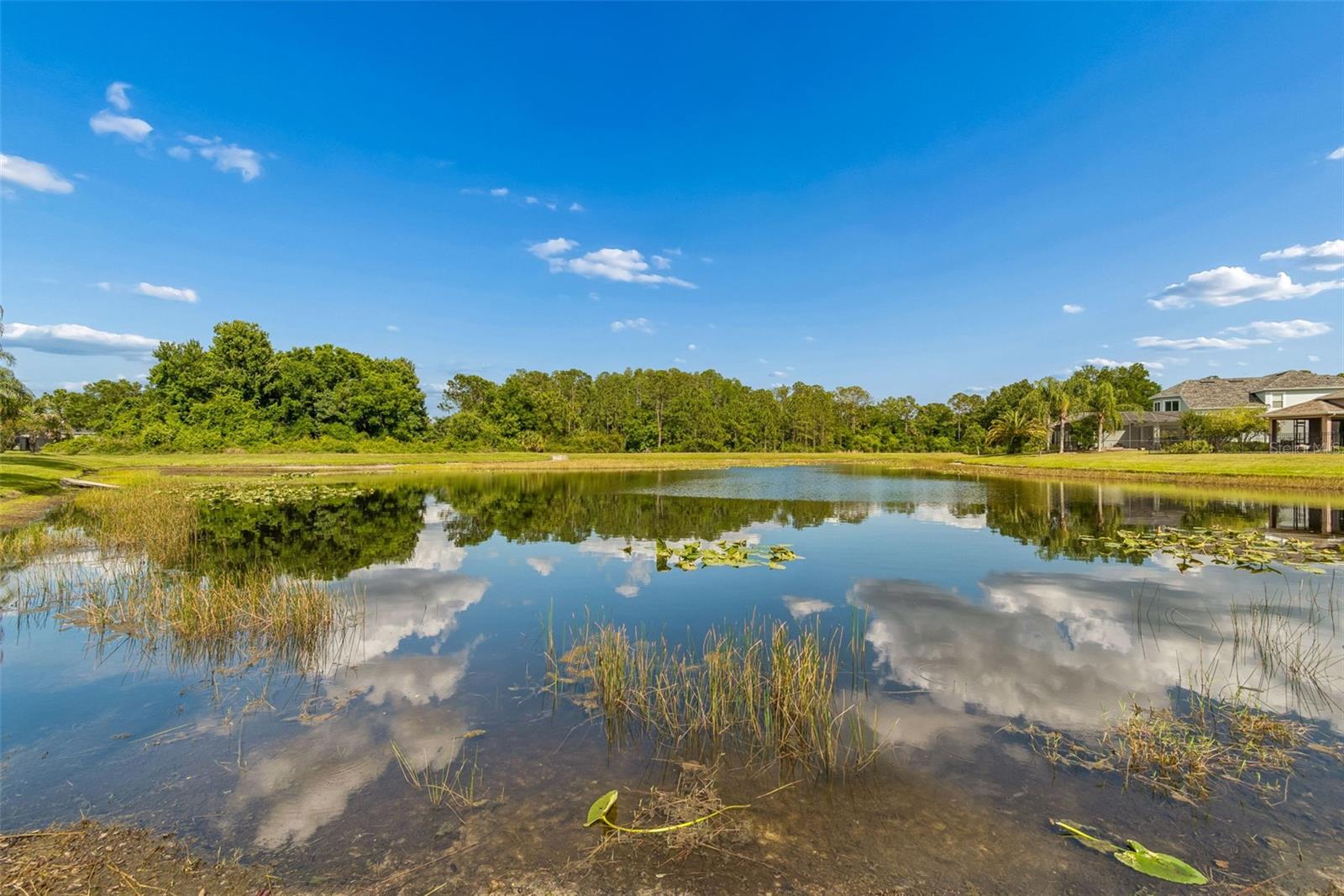 20133 HERON CROSSING DR, TAMPA, FL, 33647