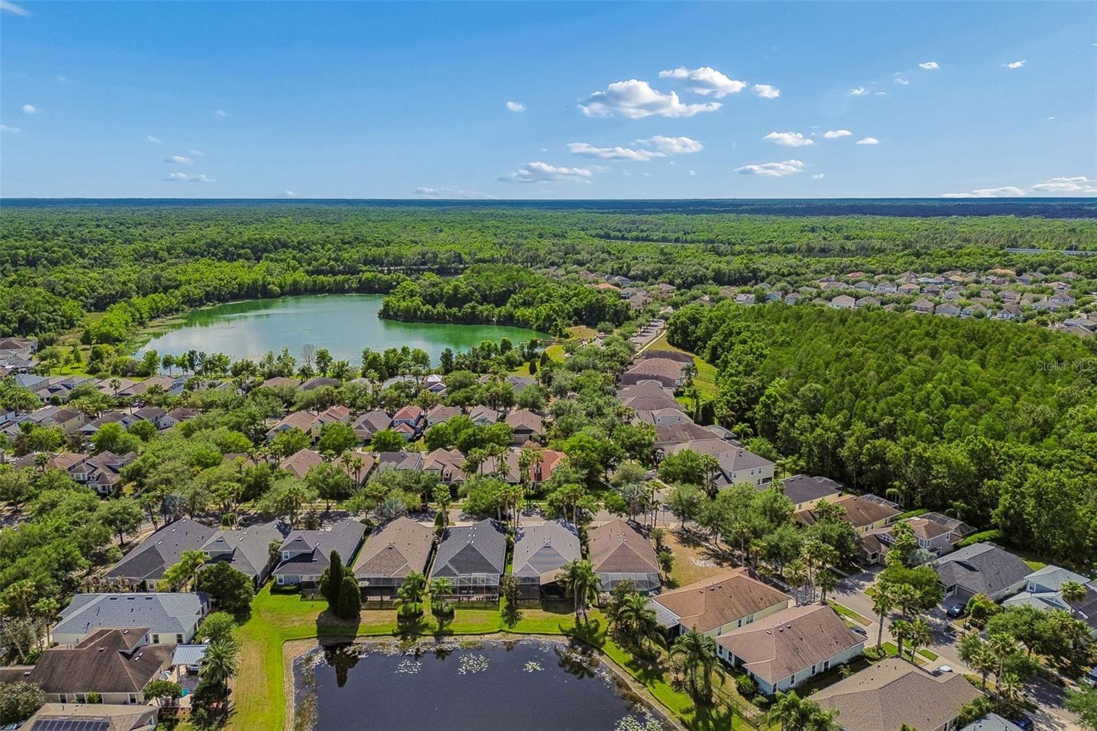 20133 HERON CROSSING DR, TAMPA, FL, 33647