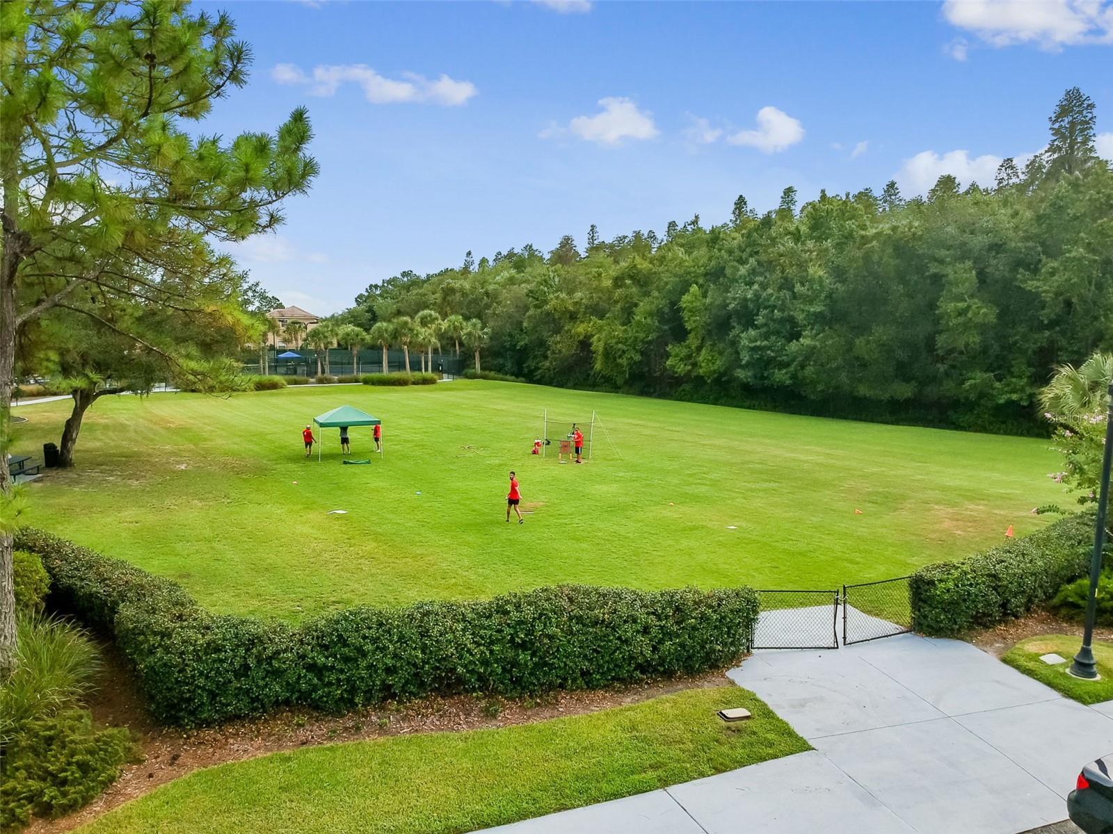 20133 HERON CROSSING DR, TAMPA, FL, 33647