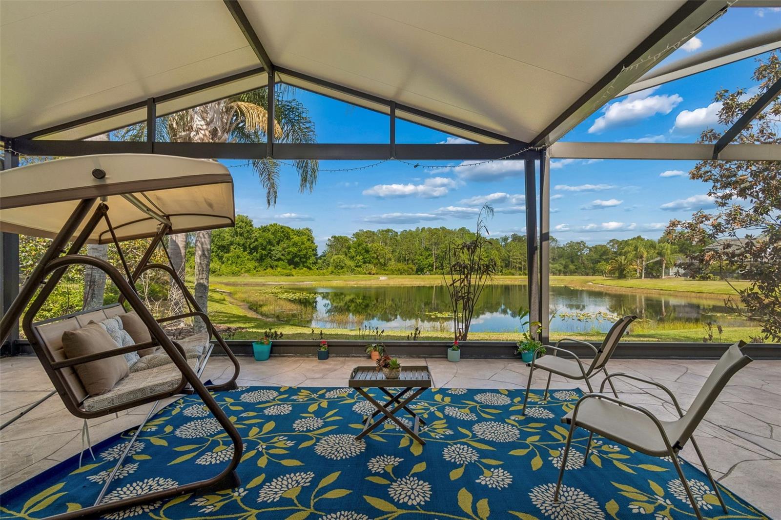 20133 HERON CROSSING DR, TAMPA, FL, 33647