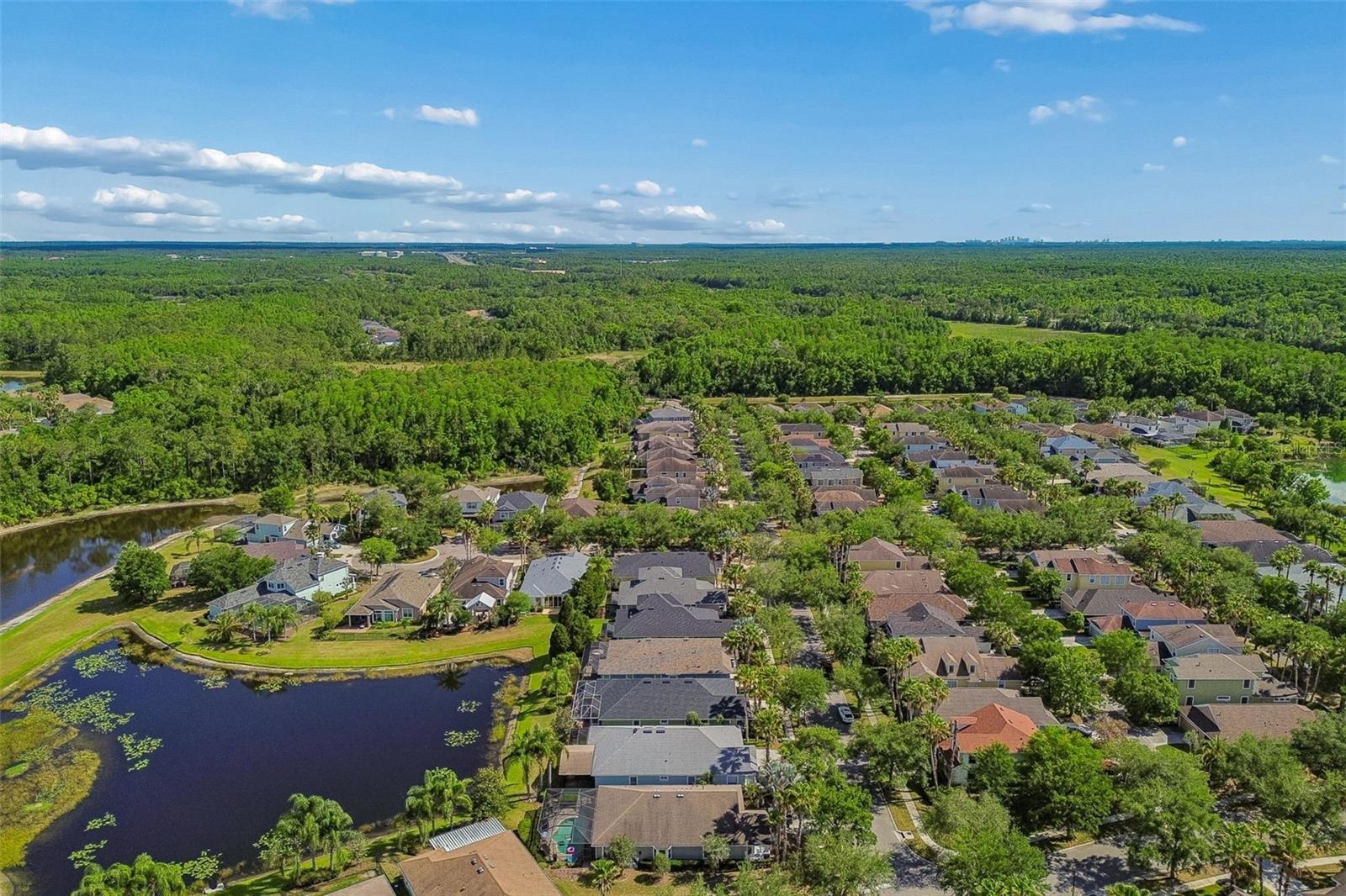 20133 HERON CROSSING DR, TAMPA, FL, 33647
