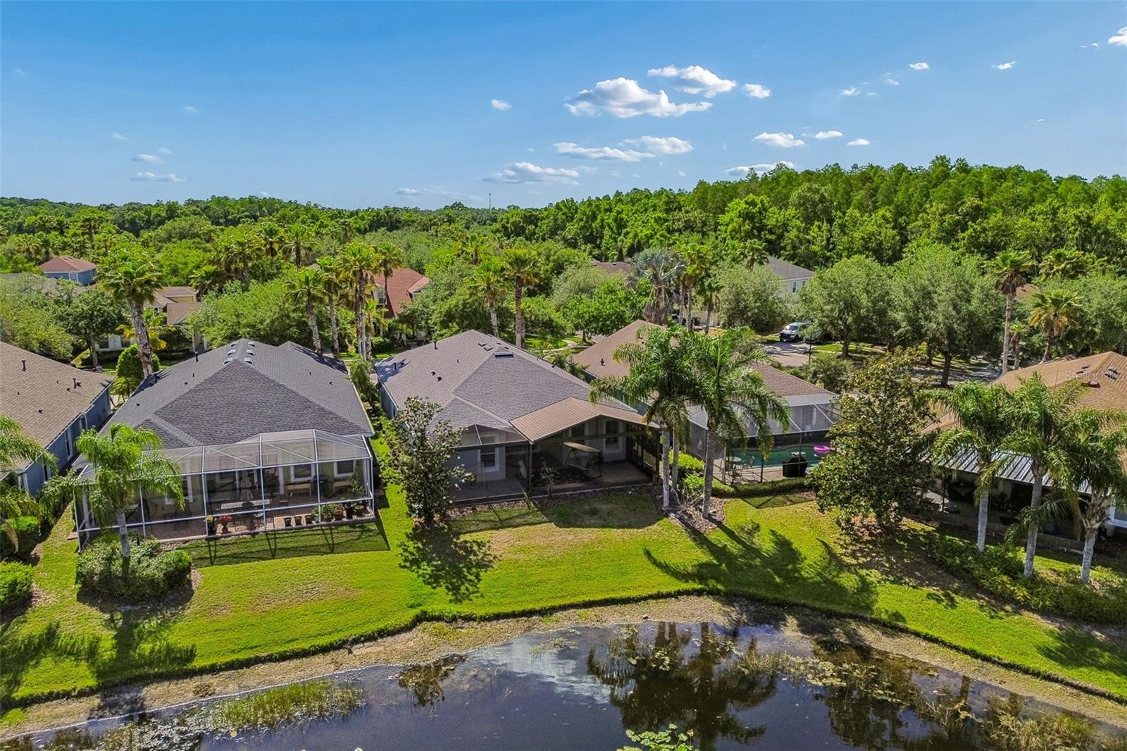 20133 HERON CROSSING DR, TAMPA, FL, 33647