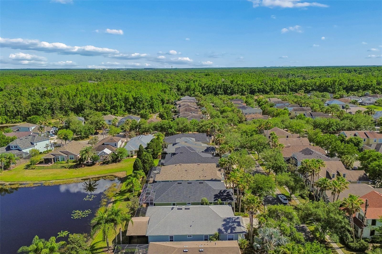 20133 HERON CROSSING DR, TAMPA, FL, 33647