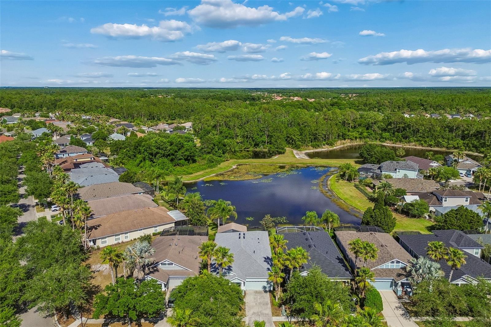 20133 HERON CROSSING DR, TAMPA, FL, 33647