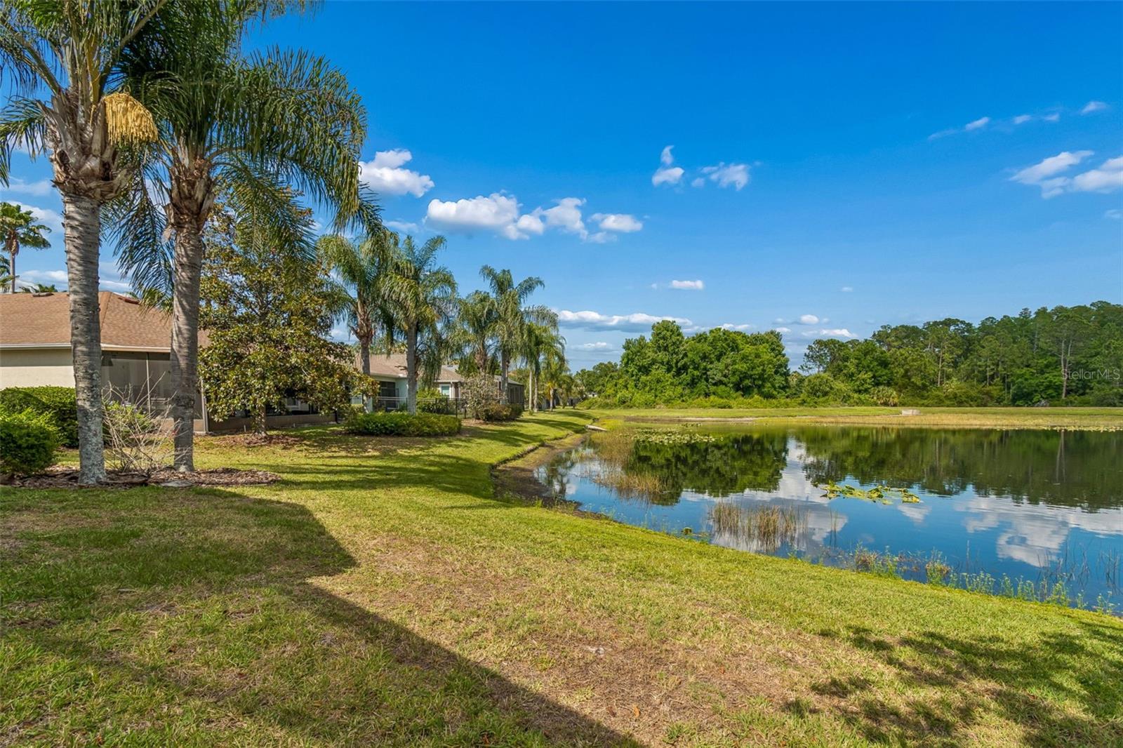 20133 HERON CROSSING DR, TAMPA, FL, 33647