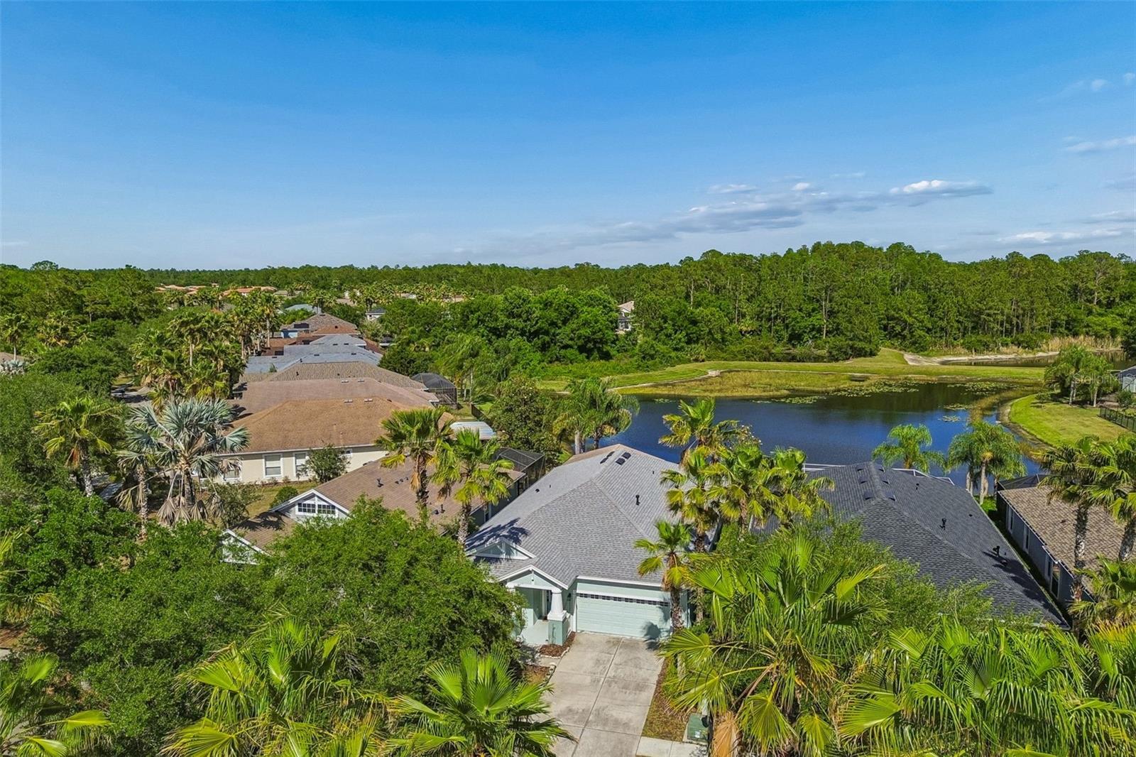 20133 HERON CROSSING DR, TAMPA, FL, 33647
