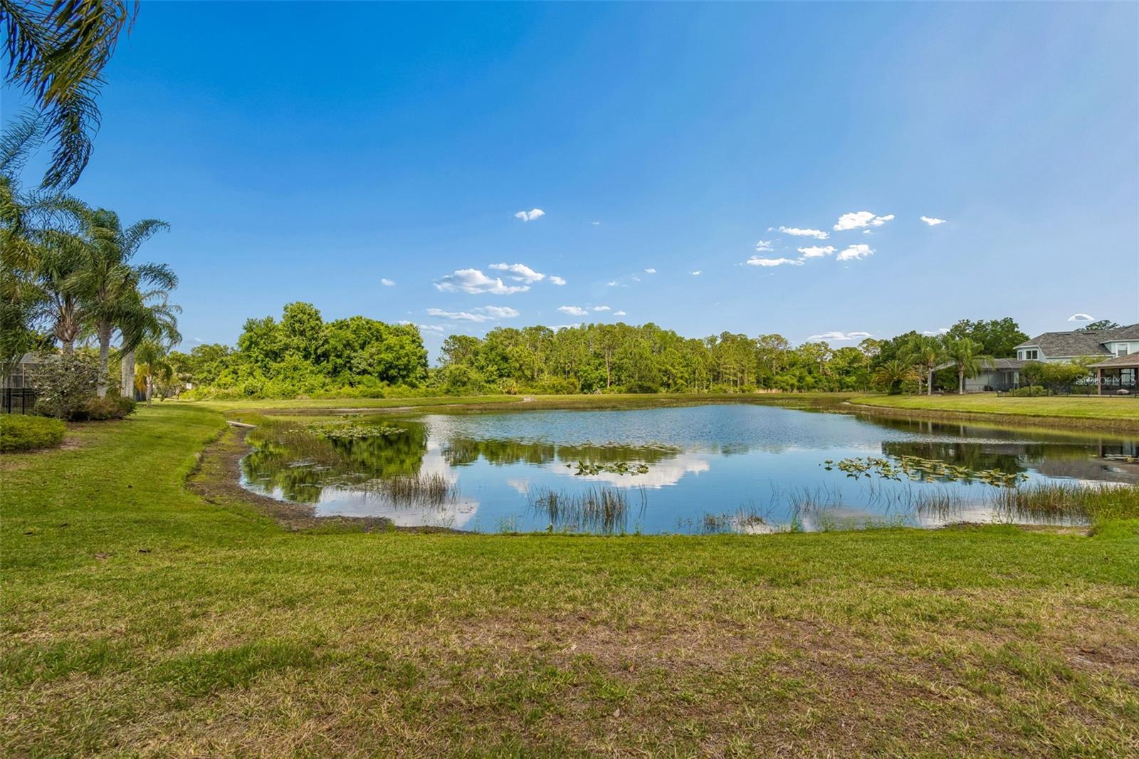 20133 HERON CROSSING DR, TAMPA, FL, 33647