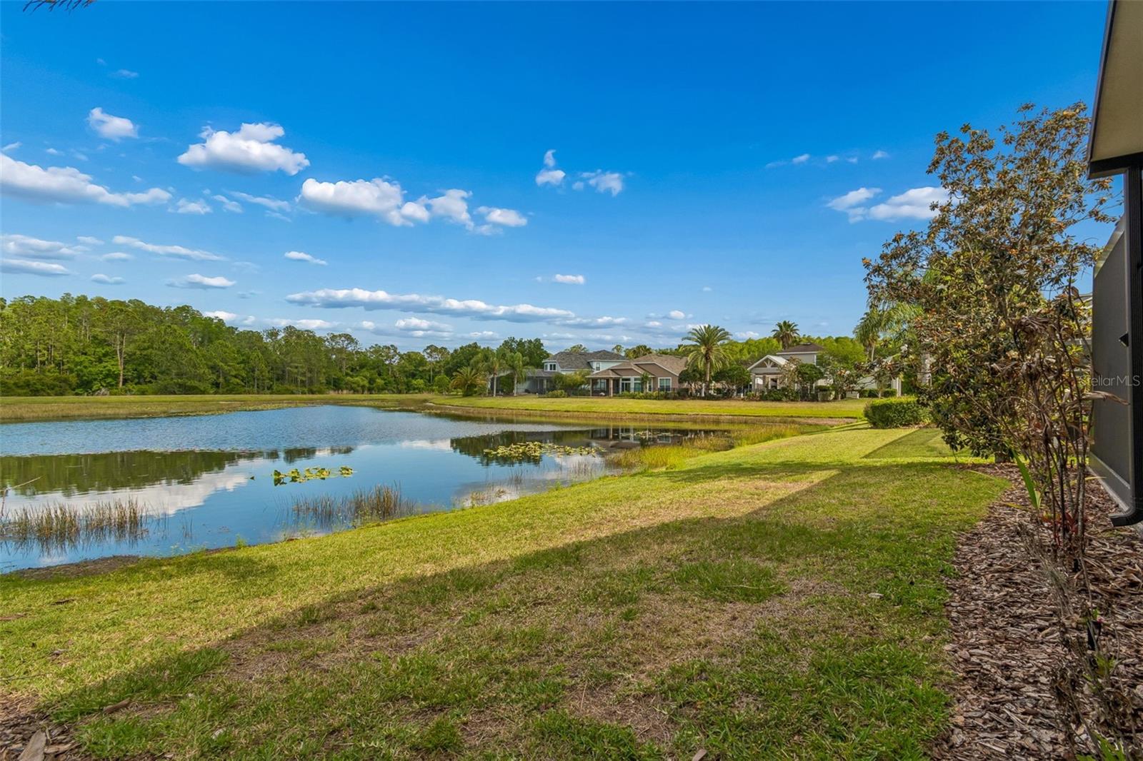 20133 HERON CROSSING DR, TAMPA, FL, 33647