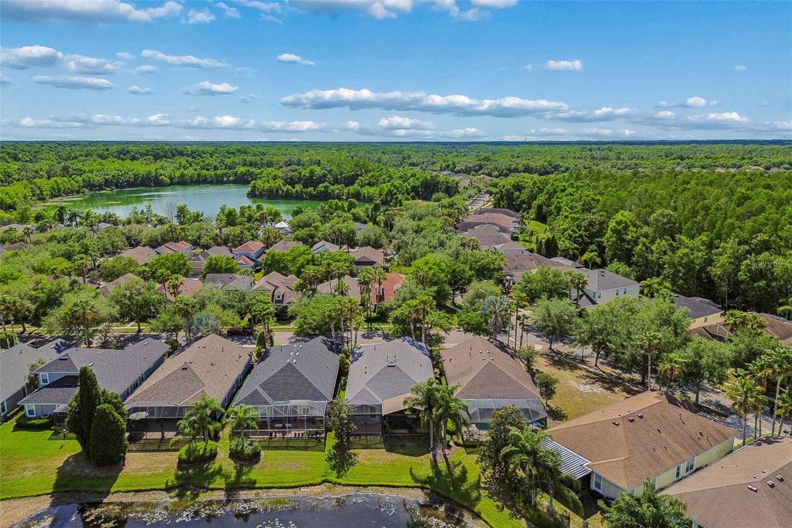 20133 HERON CROSSING DR, TAMPA, FL, 33647