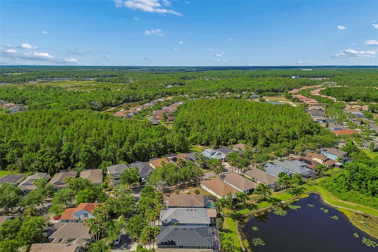 20133 HERON CROSSING DR, TAMPA, FL, 33647