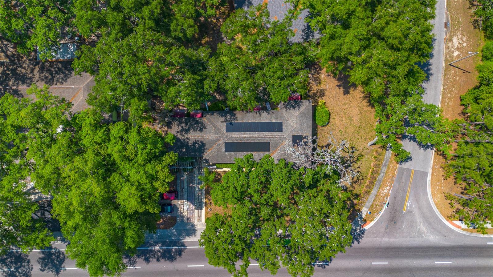 401 BULLARD PKWY, TEMPLE TERRACE, FL, 33617