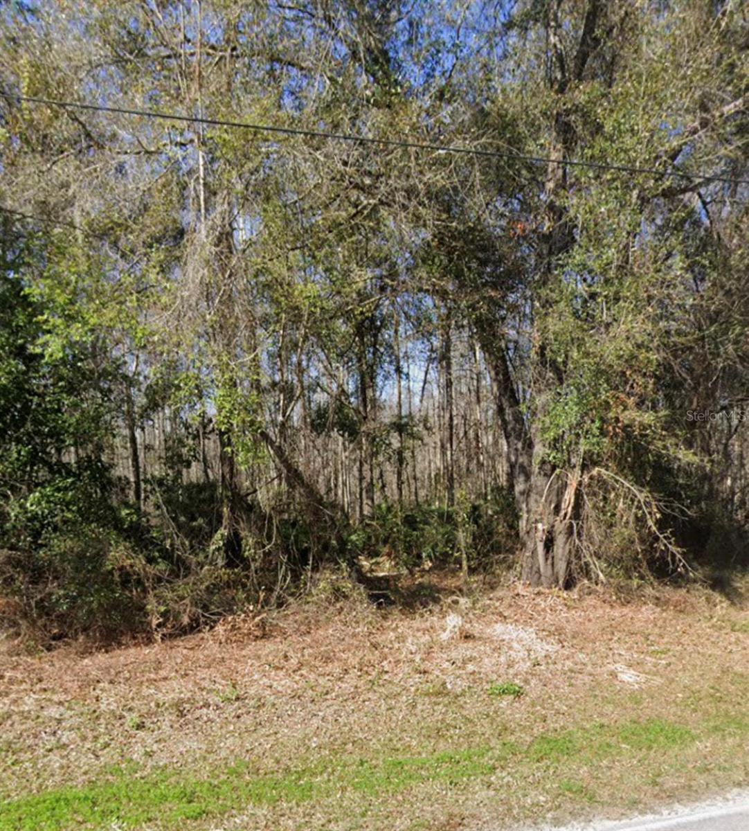 KEY LIME, NEW PORT RICHEY, FL, 34654