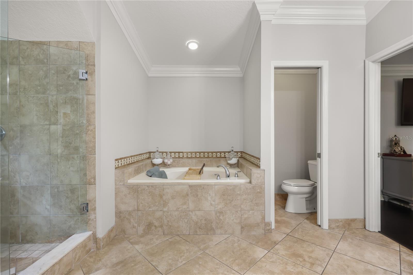 2127 LILYPAD LN, WINDERMERE, FL, 34786