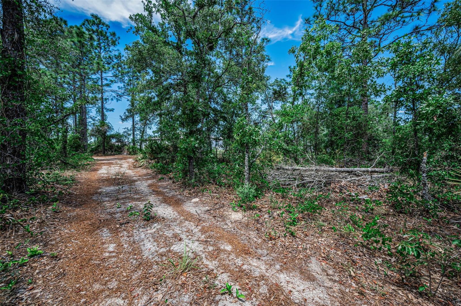 12123 FULMAR RD, WEEKI WACHEE, FL, 34614