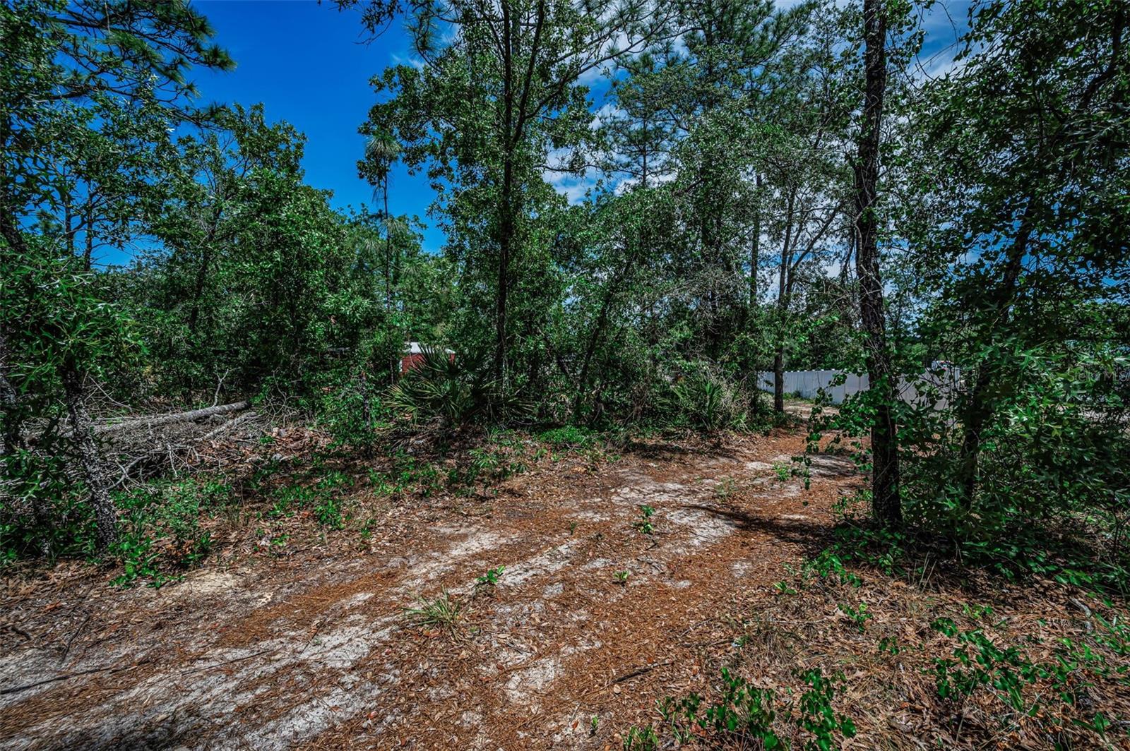 12123 FULMAR RD, WEEKI WACHEE, FL, 34614