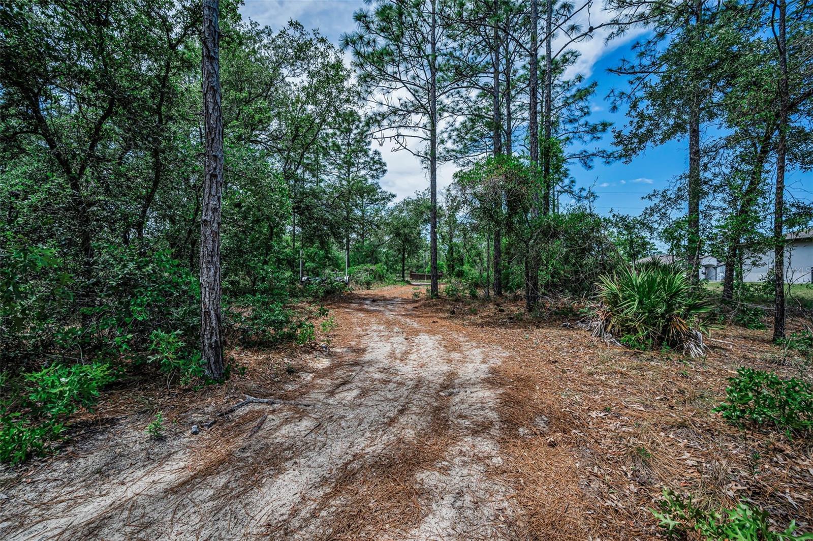 12123 FULMAR RD, WEEKI WACHEE, FL, 34614