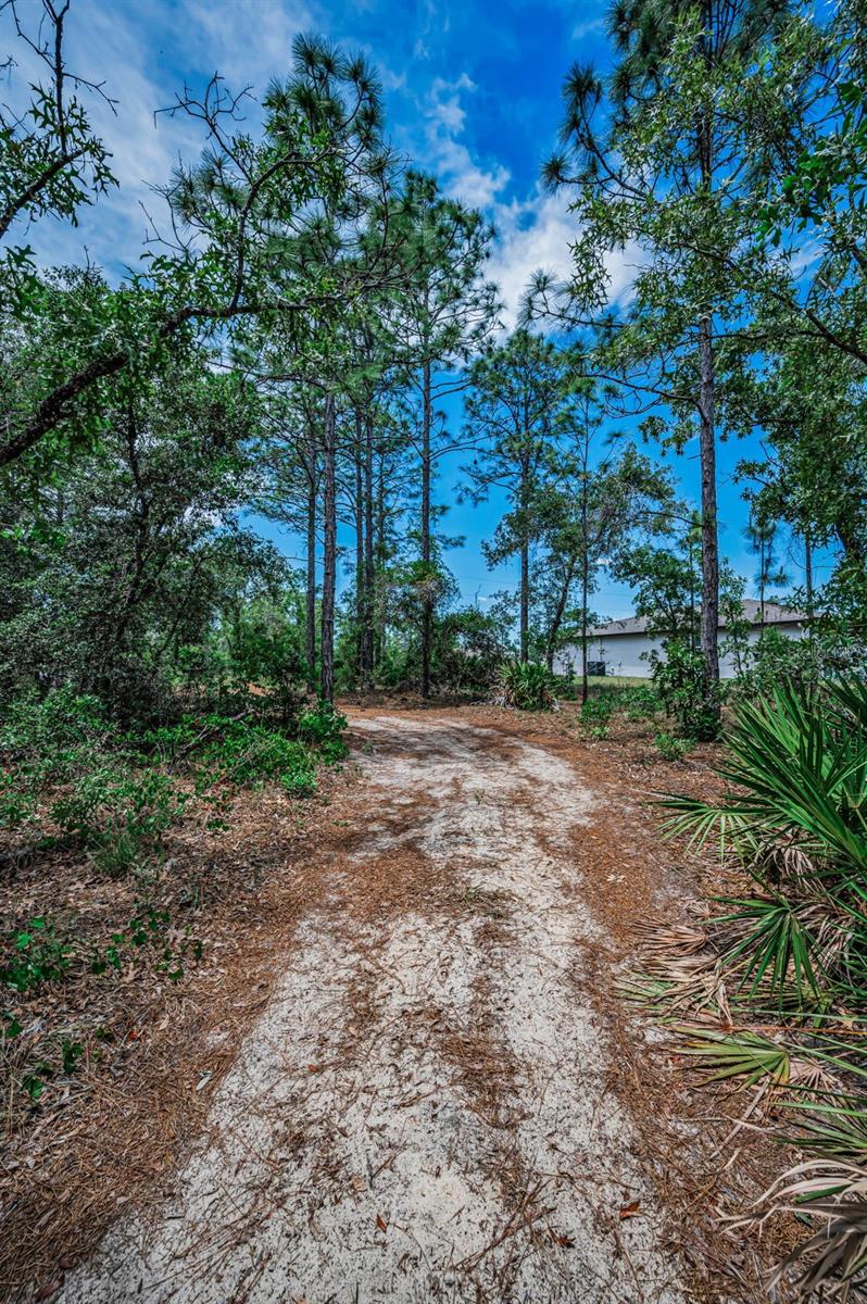 12123 FULMAR RD, WEEKI WACHEE, FL, 34614