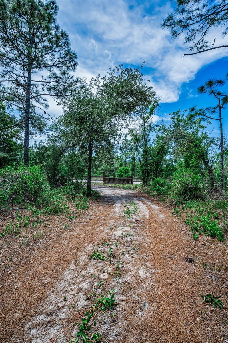 12123 FULMAR RD, WEEKI WACHEE, FL, 34614
