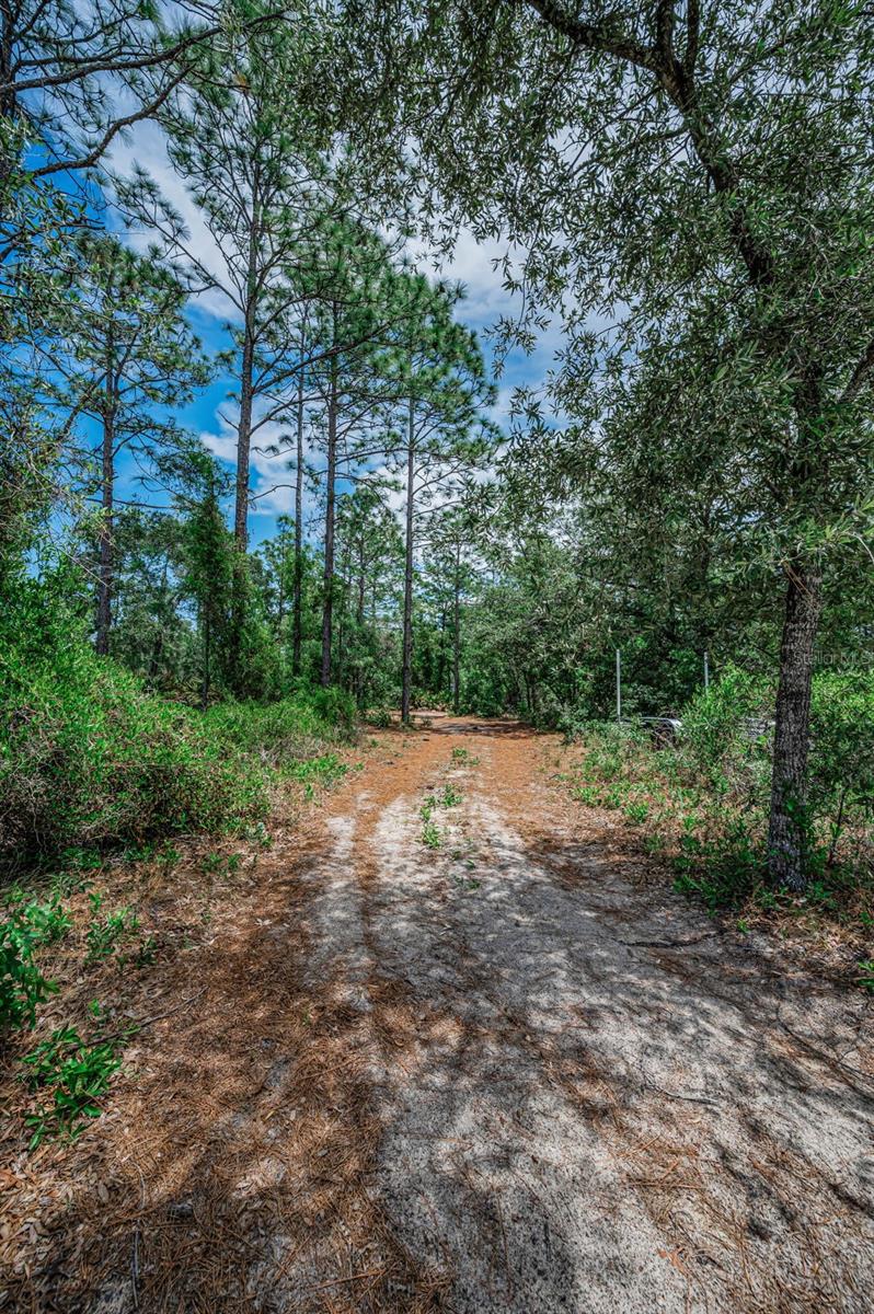 12123 FULMAR RD, WEEKI WACHEE, FL, 34614