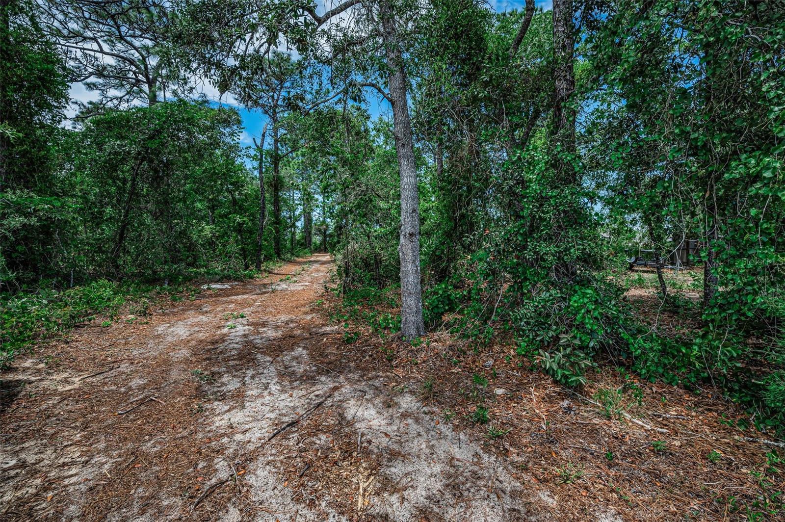 12123 FULMAR RD, WEEKI WACHEE, FL, 34614