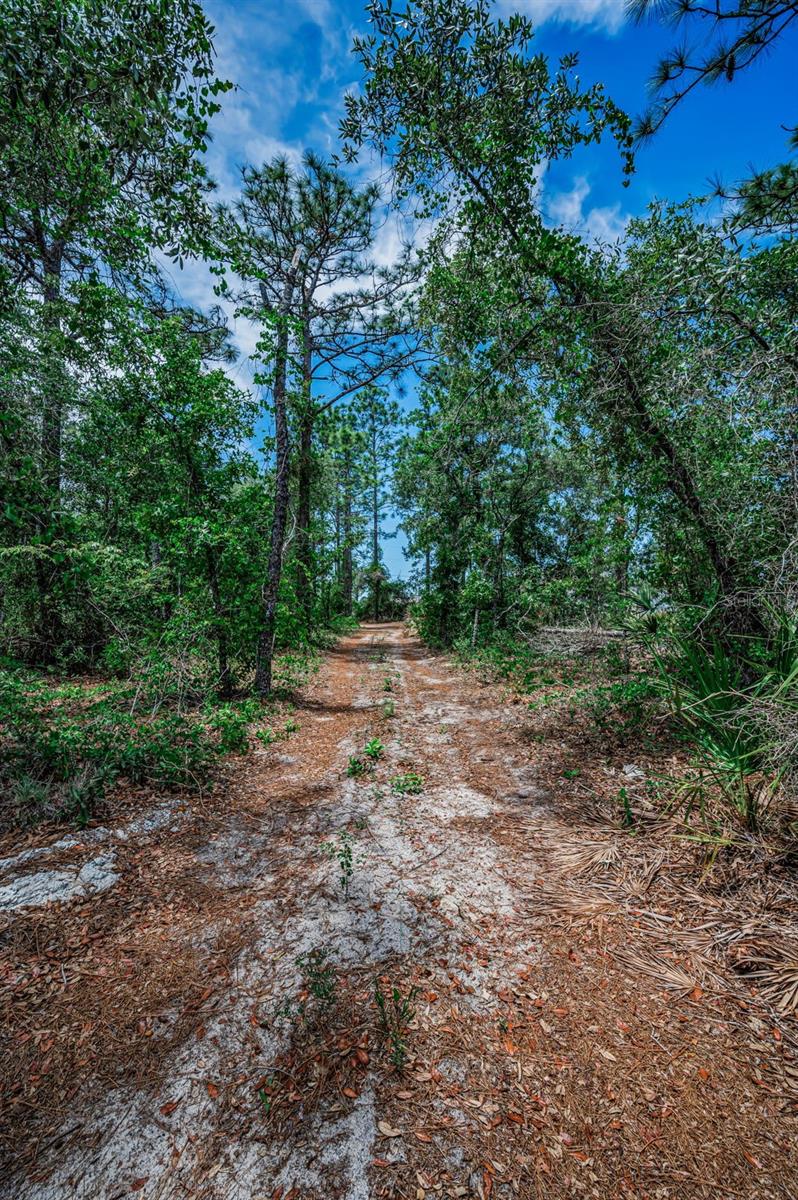 12123 FULMAR RD, WEEKI WACHEE, FL, 34614