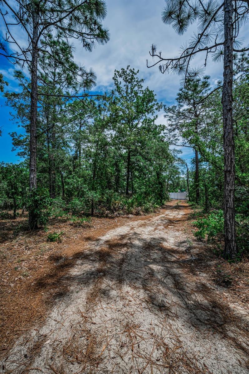 12123 FULMAR RD, WEEKI WACHEE, FL, 34614