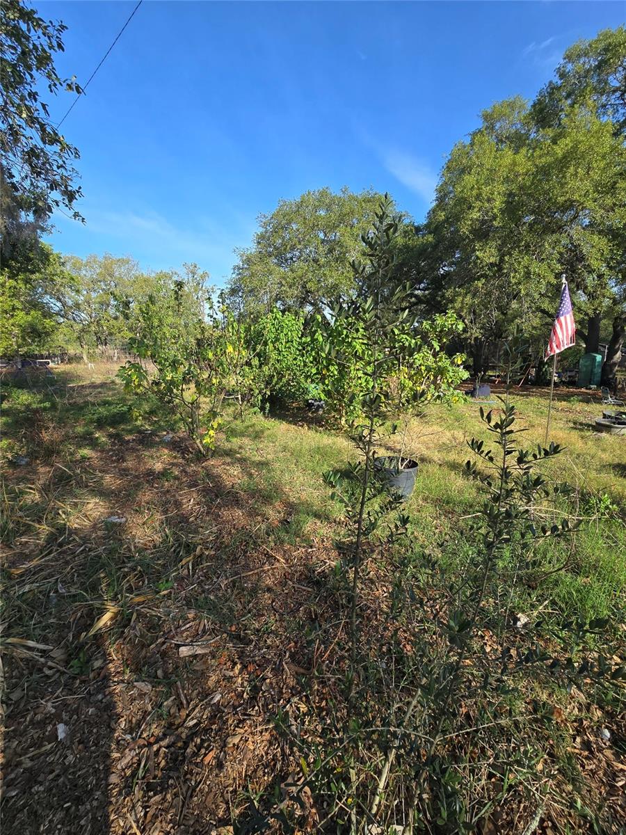 14515 GIDDYUP LN, HUDSON, FL, 34669